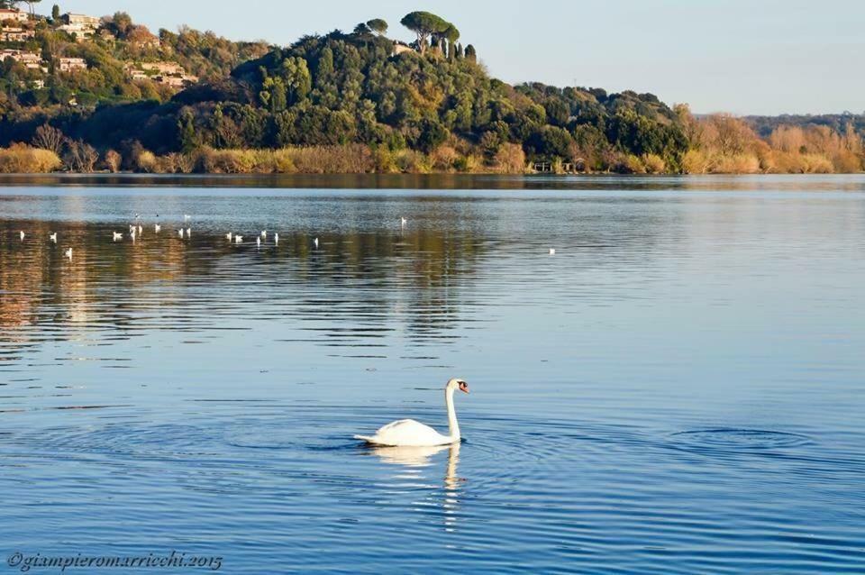 Pepe Apartment -Lago Di Bracciano Trevignano Romano Dış mekan fotoğraf